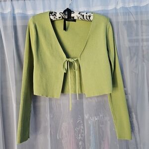 Cider Green Cropped Sweater